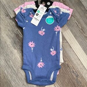 Set of 3 Carter's Blue and Pink Floral Bodysuit Set